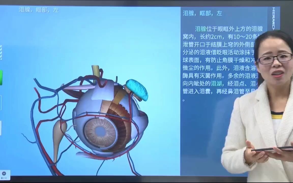 人体器官与八大系统的演示哔哩哔哩bilibili