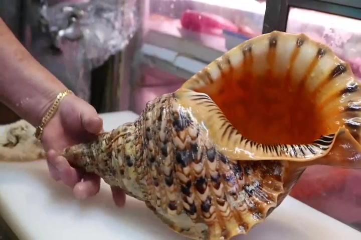 日本海鲜—海螺