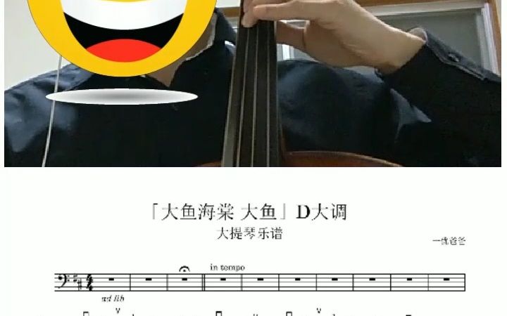 [图]大提琴「大鱼 D大调」