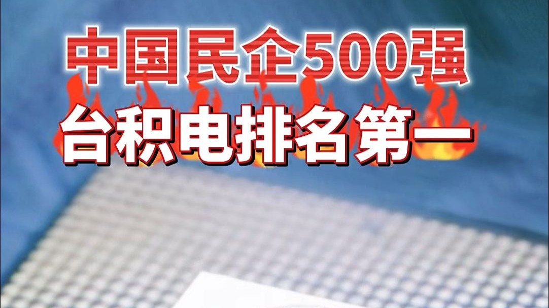 中国第一民企不是腾讯阿里,竟是6.6万亿的台积电! #胡润中国500强 #民营企业 #中国企业500强哔哩哔哩bilibili