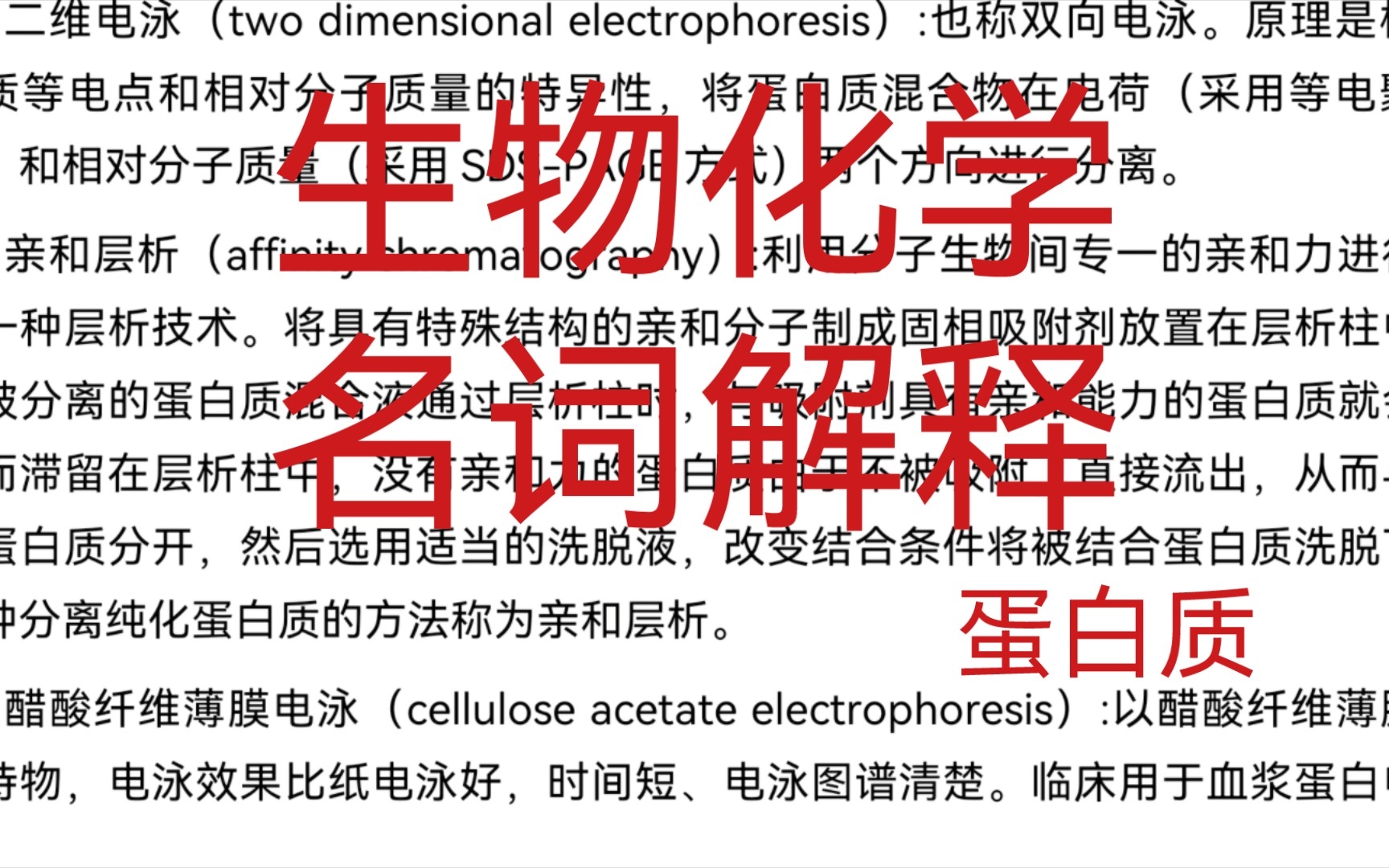 催眠 考研 中国药科大学710生物化学 姚文兵 04 蛋白质哔哩哔哩bilibili