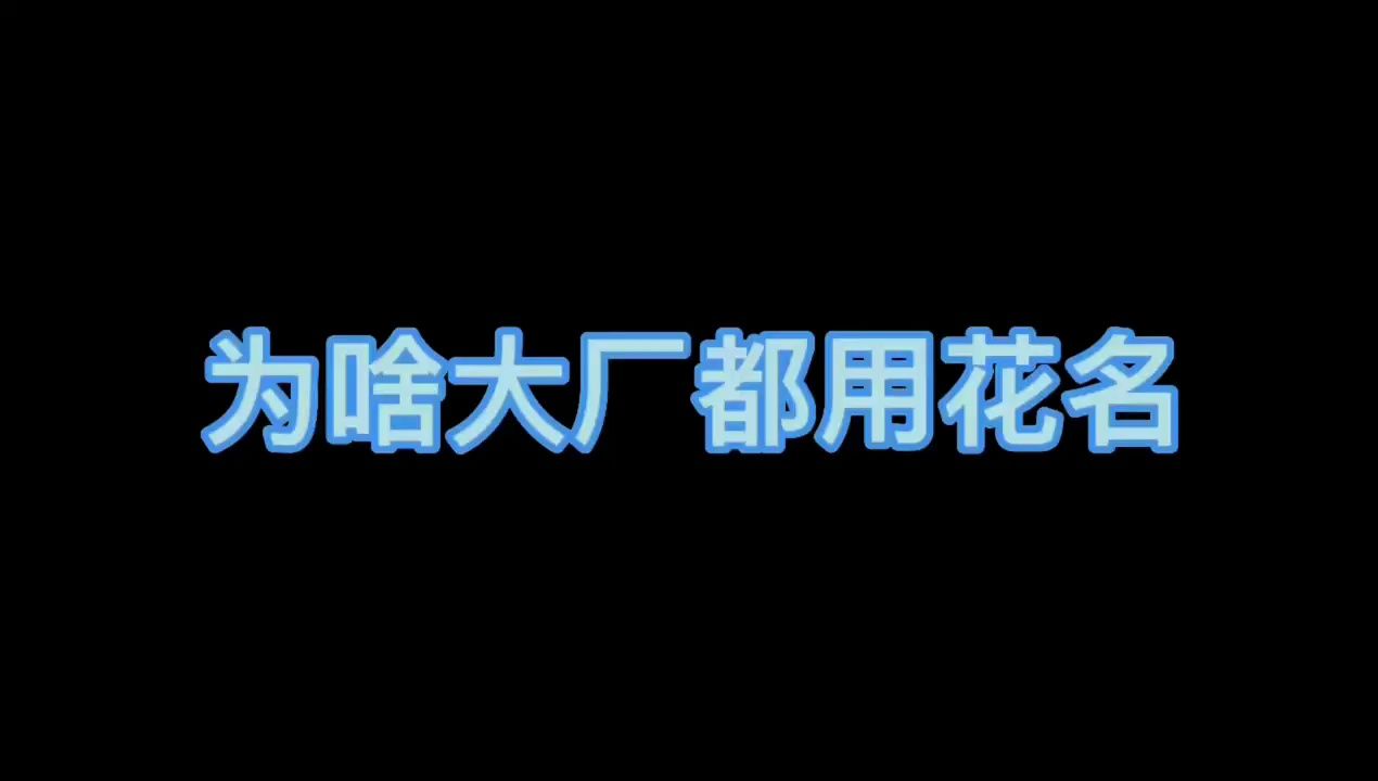 大厂为什么都用花名哔哩哔哩bilibili