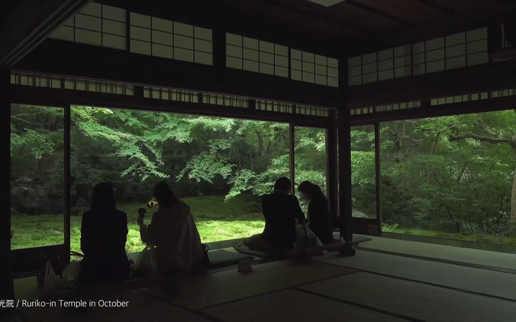 [图]日本庭園：瑠璃光院 桂春院