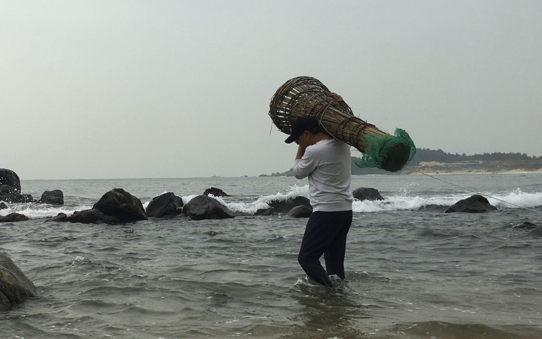 闲牛将"海牛号"丢到水里面,引来了好多靓海货,这样赶海太爽了_哔哩