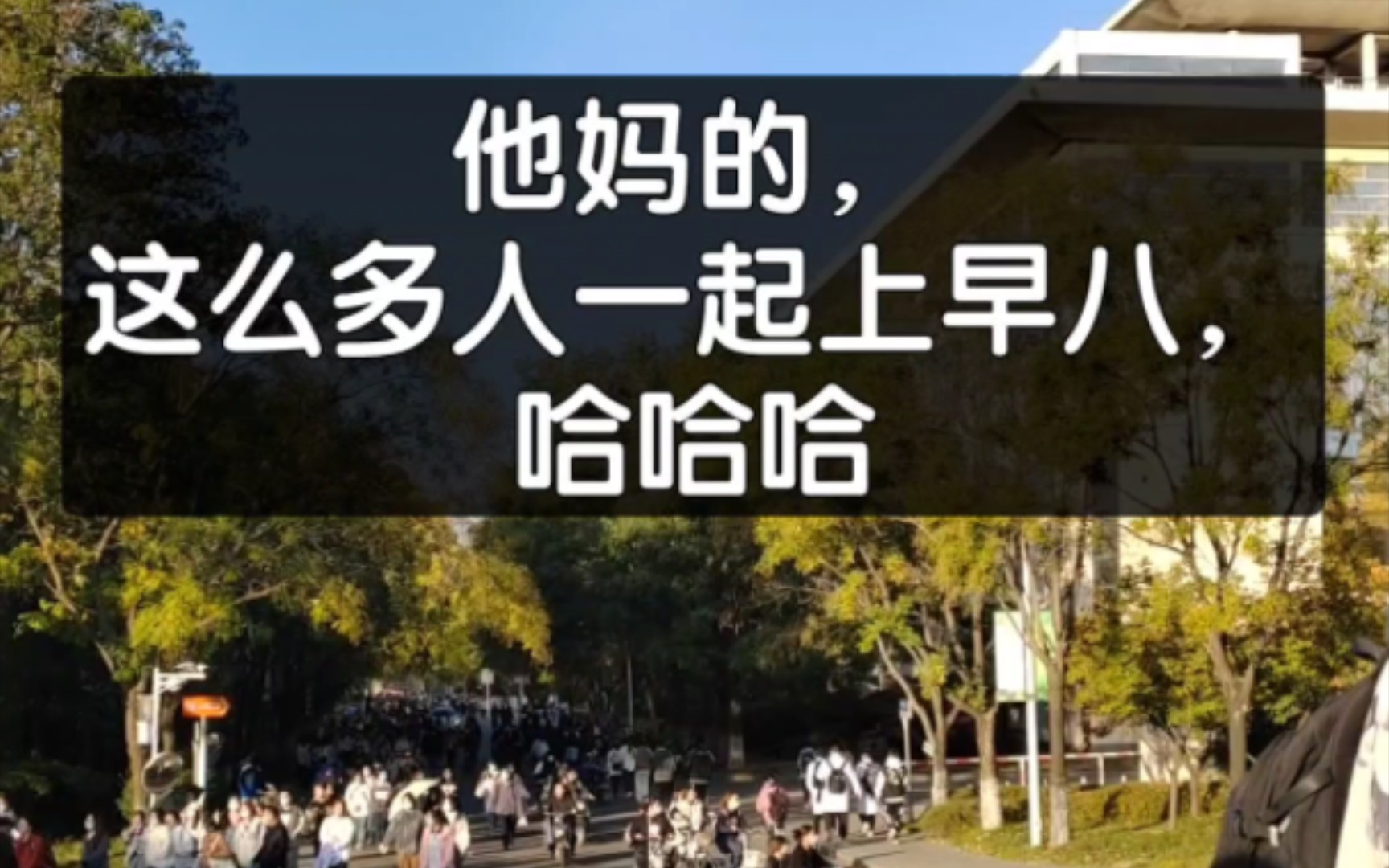 [图]当代早八大学生精神状态