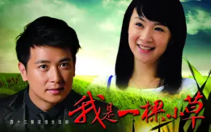 Descargar video: 【都市/情感】我是一棵小草 43集全（2009）【姚芊羽/保剑锋】