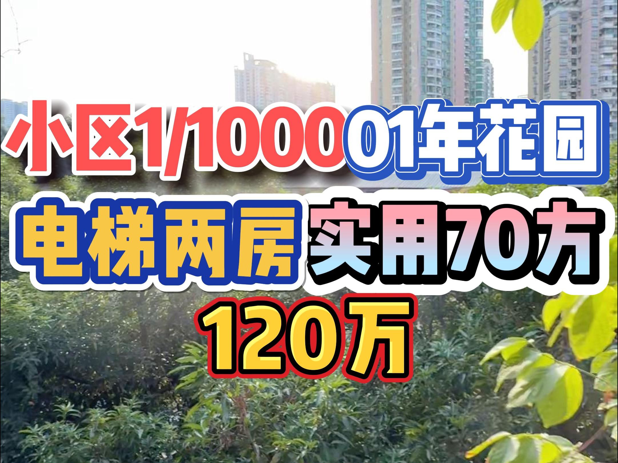 小区1/1000!01年花园,原装电梯两房,实用70方,120万!哔哩哔哩bilibili