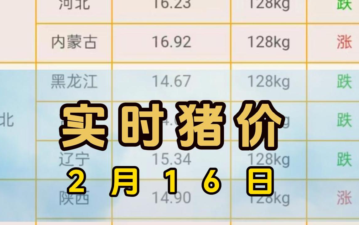 2024年2月16日实时猪价