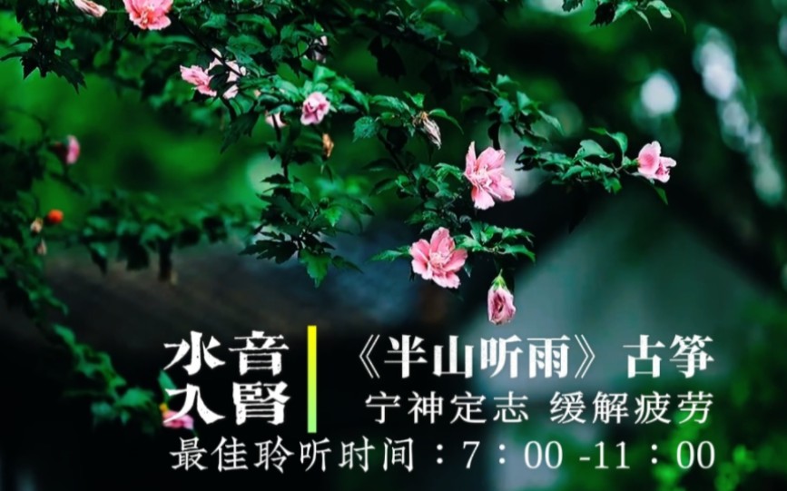 净脑,经常熬夜,腰酸背痛,黑眼圈掉头发等可多听用《半山听雨》古筝版