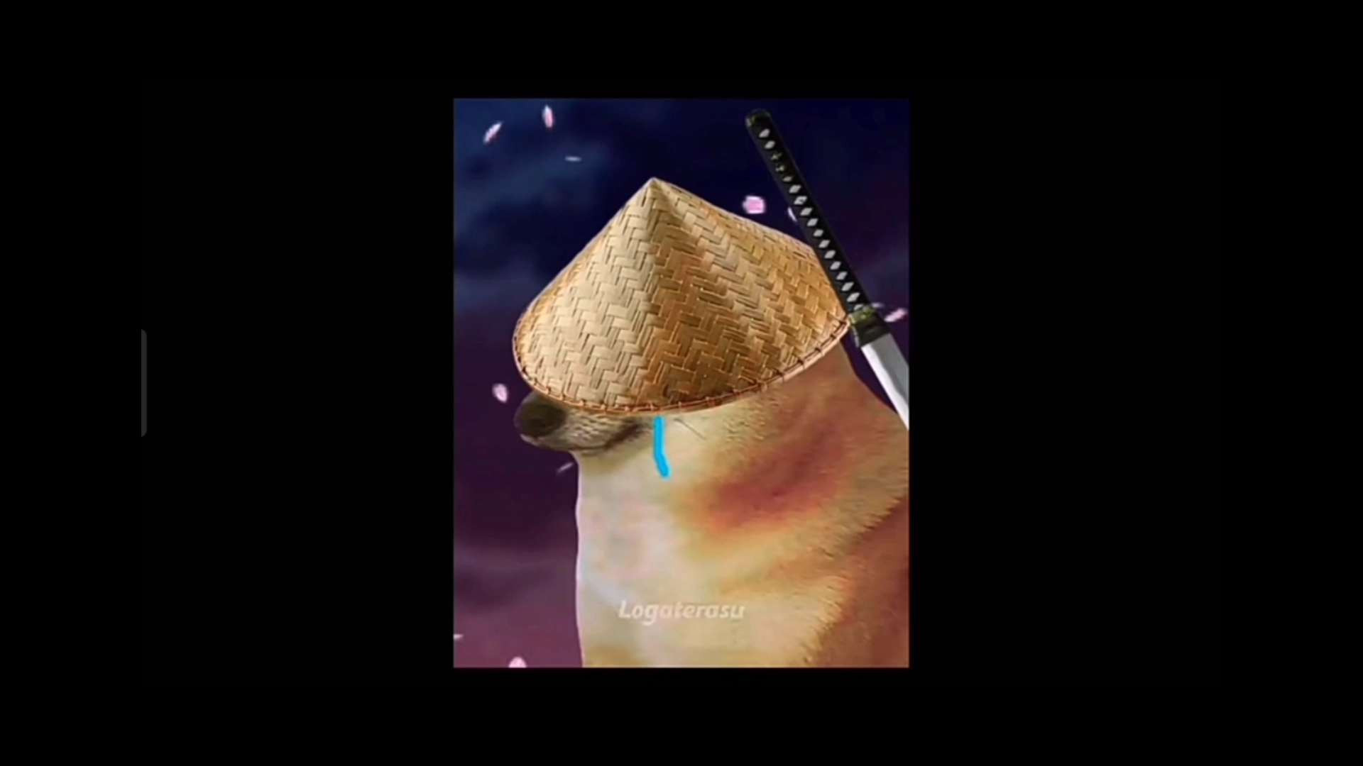 cheems,我不想在跳舞了