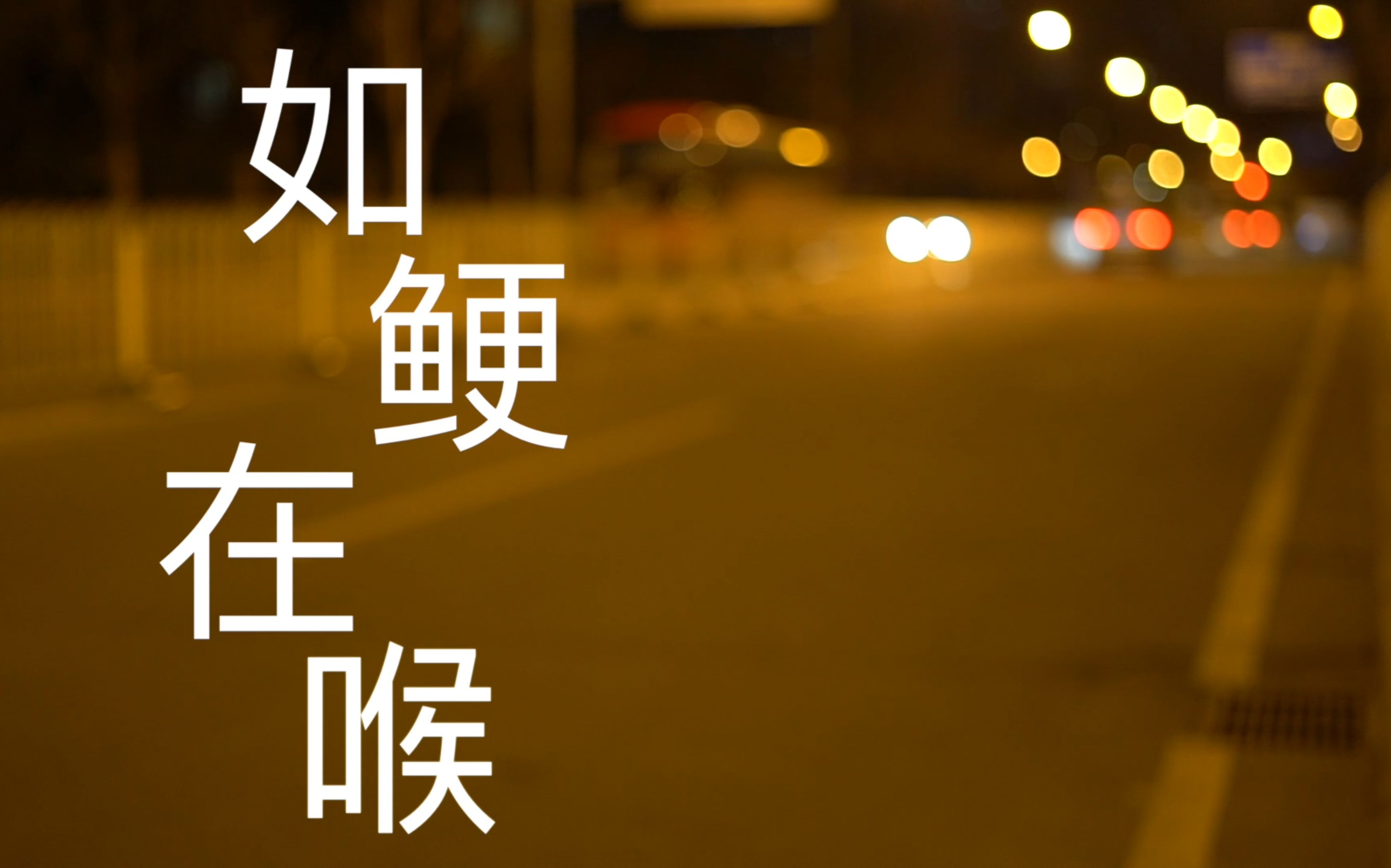 【如鲠在喉】越南见闻--一个超实用的越南旅行贴士(西贡 会安 芽庄)