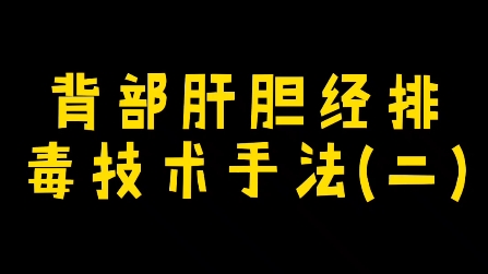 背部肝胆经排毒技术手法(二)#尚赫技术#尚赫方成老师#中业匠心哔哩哔哩bilibili