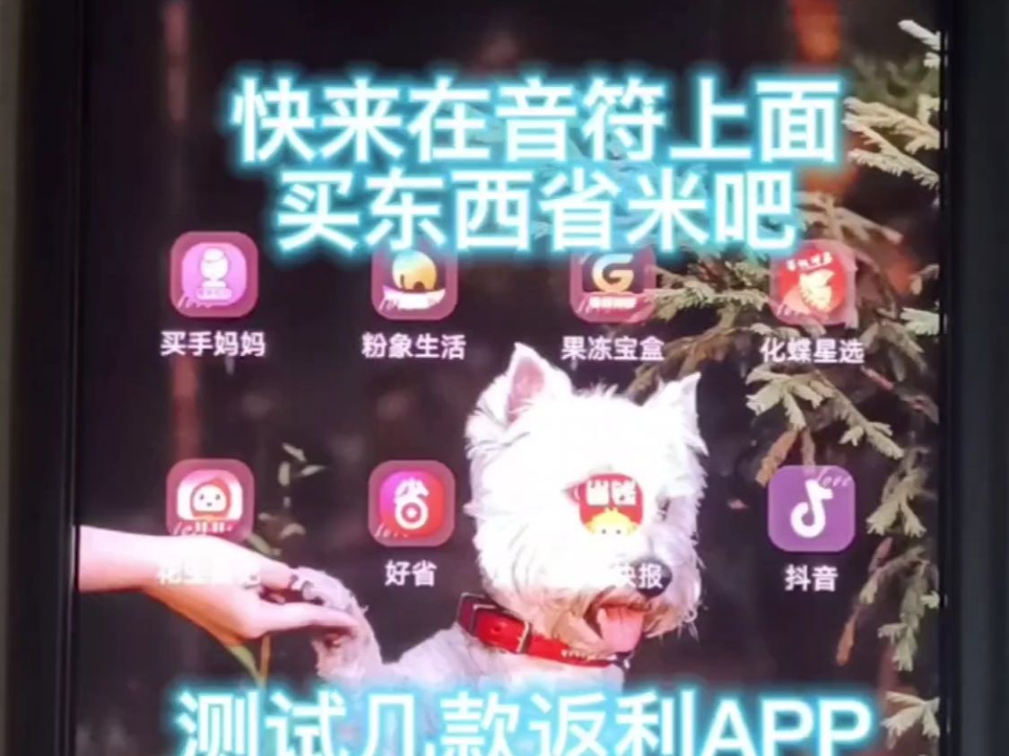 返利APP评测,你用的是哪一个呢?哔哩哔哩bilibili