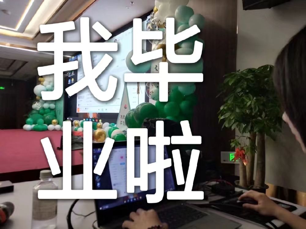 (致敬老番茄)