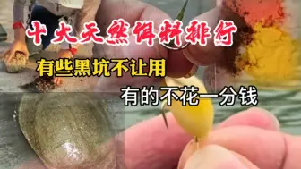 Download Video: 十大天然饵料排行，有些黑坑不让用，有的不花一分钱