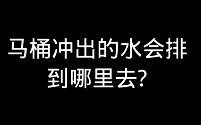 [图]你知道迷你的海是从哪里来的吗？