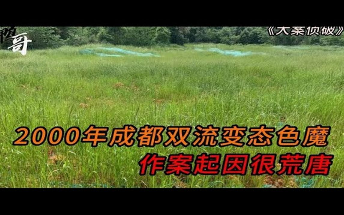 这个案件很早就知道了,但看不管看过多少次,心里都还害怕|大案|奇案|真实案件|大案纪实|奇闻异事哔哩哔哩bilibili