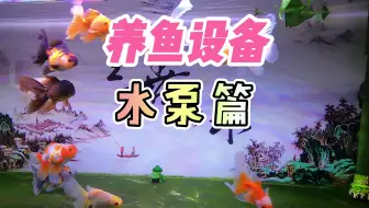 热带鱼 7升小缸 开水泵状态 水流太大吗 哔哩哔哩 Bilibili