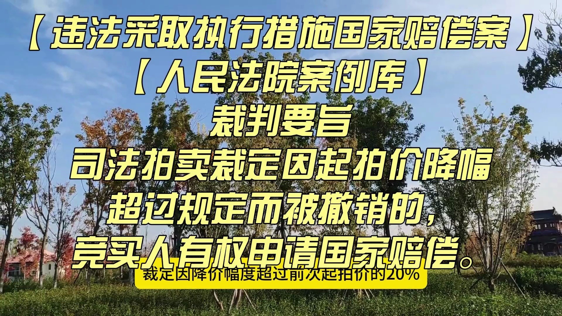 【违法采取执行措施国家赔偿案】【人民法院案例库】司法拍卖裁定因起拍价降幅超过规定而被撤销的,竞买人有权申请国家赔偿.哔哩哔哩bilibili