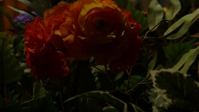 花 Live 片寄凉太数原龙友generations From Exile Tribe 哔哩哔哩 つロ干杯 Bilibili