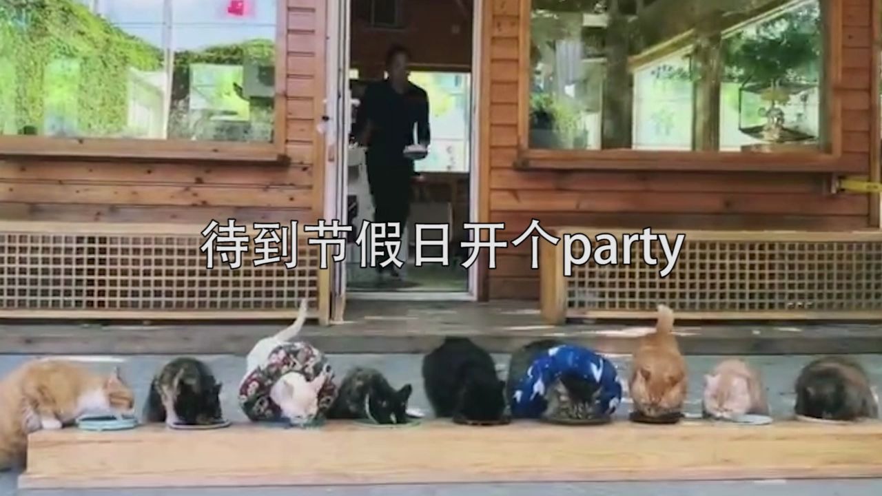 [图]【观复猫】观复猫有嘻哈收官大作，来看看你认识几个？