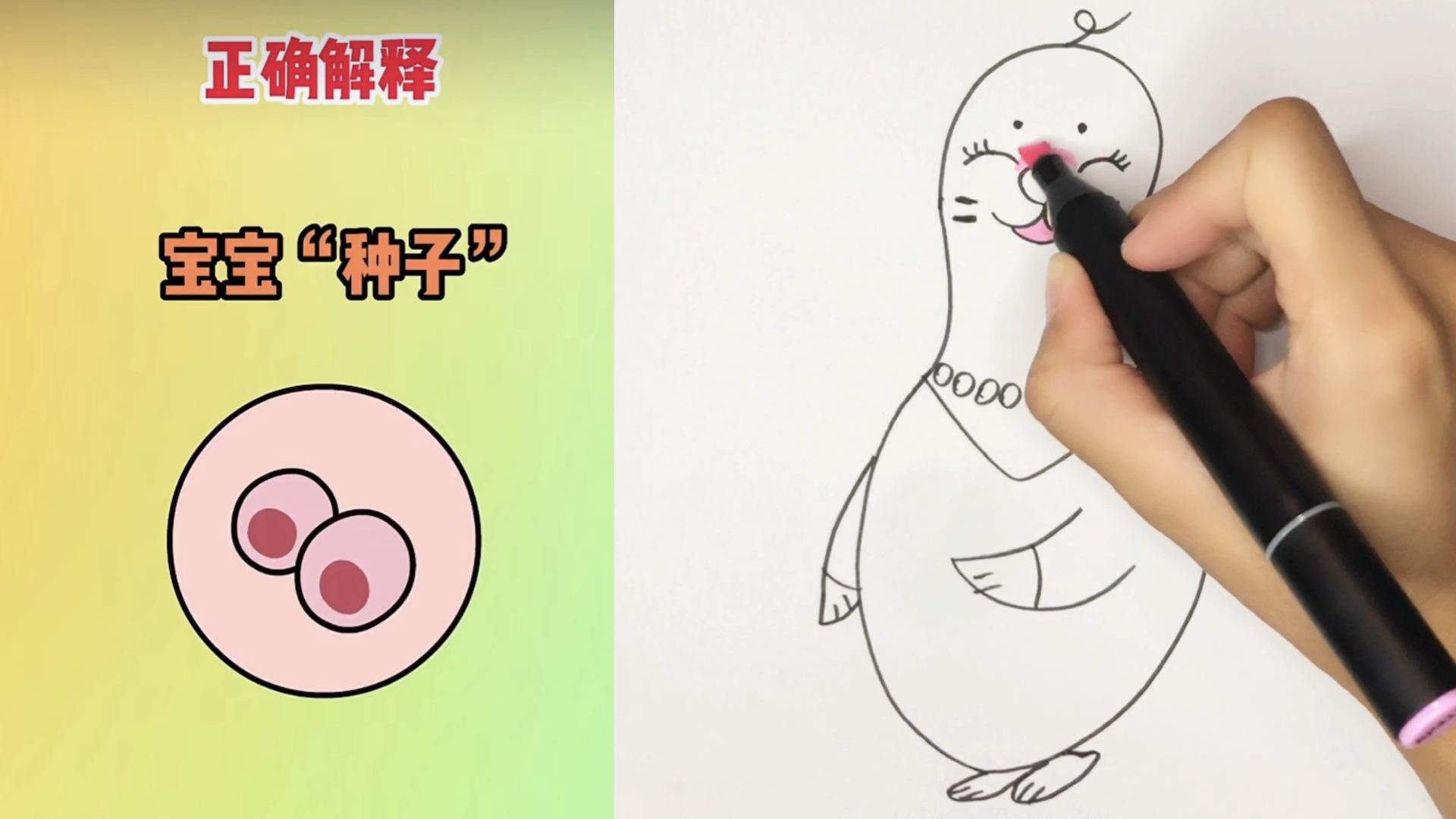 妈妈回应好奇宝宝