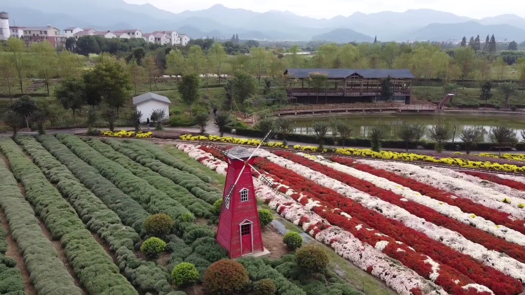 渔歌小镇花之港