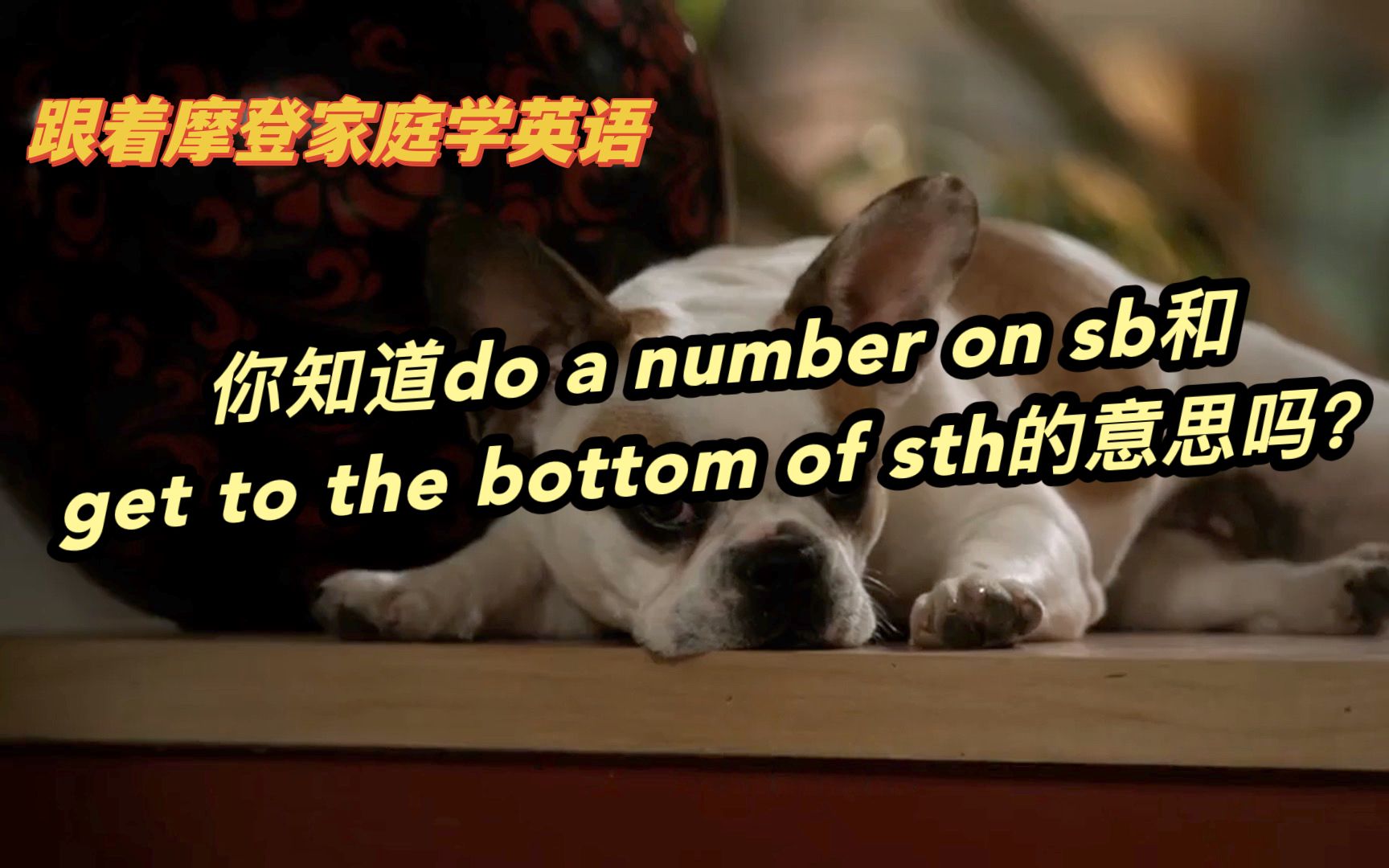 [图]你知道do a number on sb和get to the bottom of sth的意思吗？（第119期）