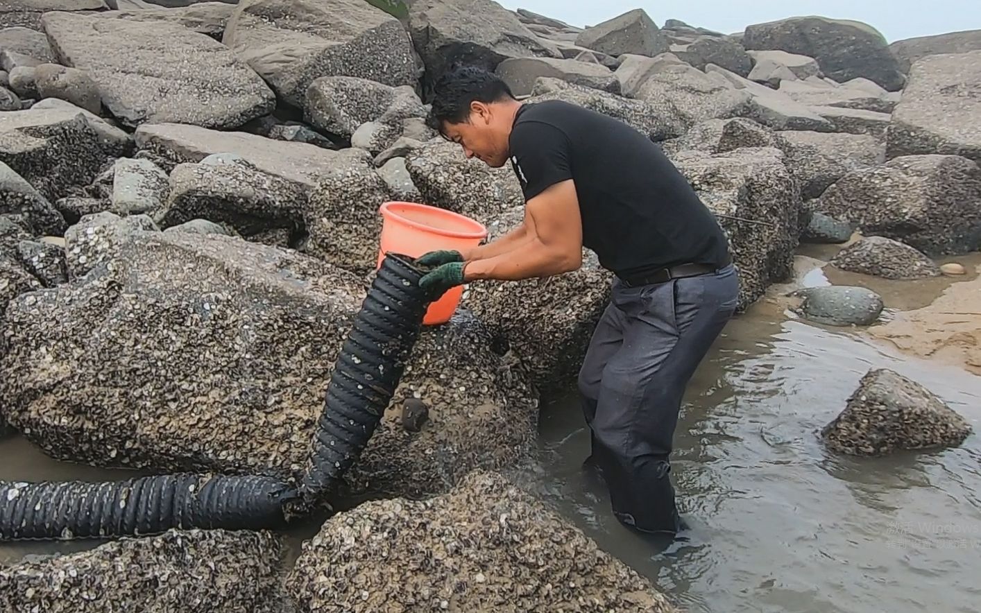 赶海发现礁石堆的烂水管阿阳走近拿起一看里面竟藏着好东西