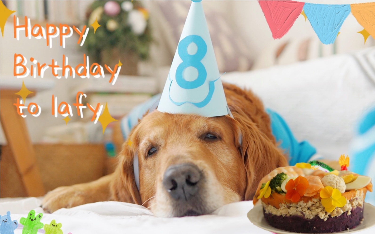 【生活vlog】给心爱的小狗过生日|狗狗超喜欢的宠物蛋糕