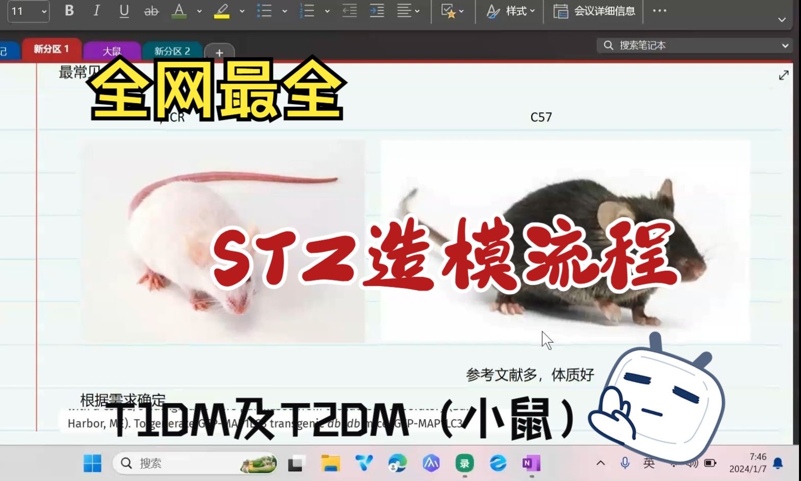 全网最全的STZ造模流程包含T1DM及T2DM（小鼠），见证0死亡！ - 哔哩哔哩