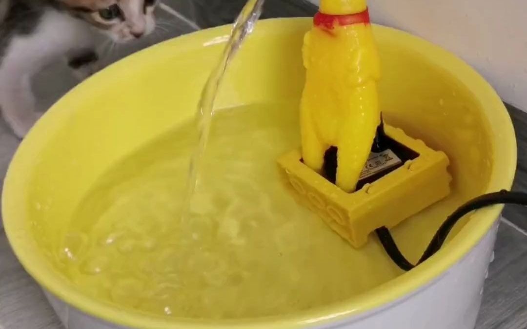 自制猫饮水机 #宠物饮水机 #猫咪饮水机 #手工diy #养宠进阶指南 萌 