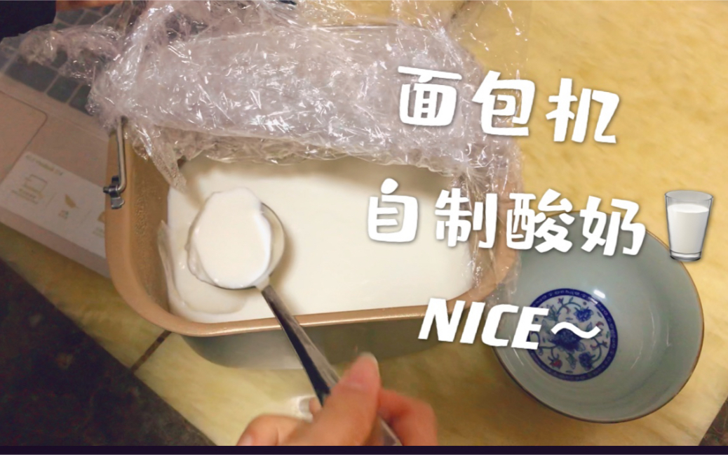 日常制作|耗时8小时的美味!|用面包机做酸奶|超级简单|成功啦|哔哩哔哩bilibili