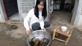河蚌里会有寄生虫吗 把河蚌放入52度白酒 看到这些寄生虫真后怕 哔哩哔哩 つロ干杯 Bilibili