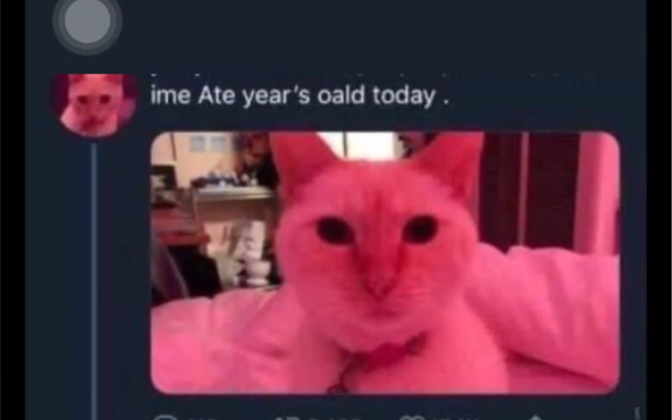 [图]ime a cat