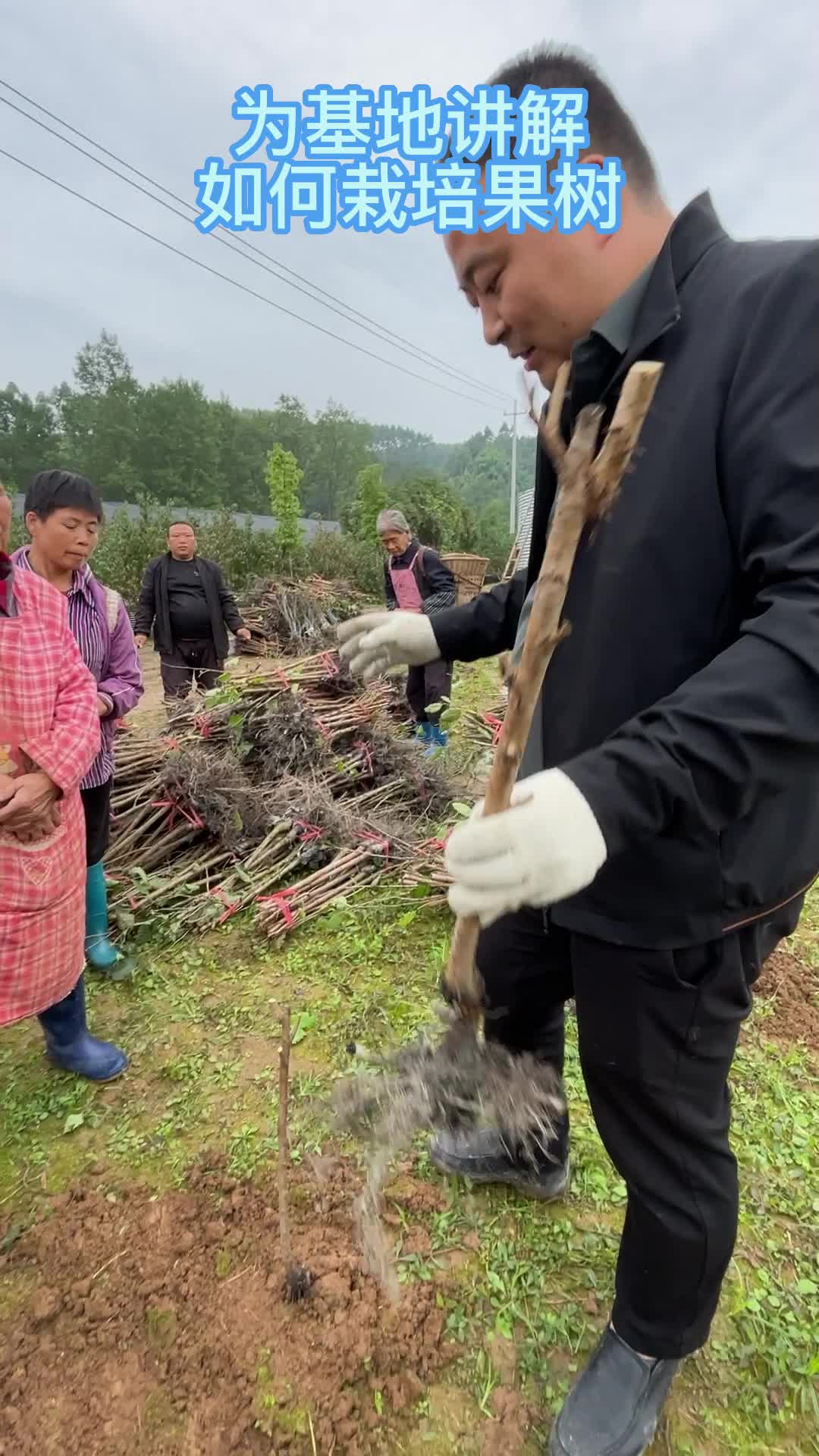 为基地讲解如何栽培果树哔哩哔哩bilibili