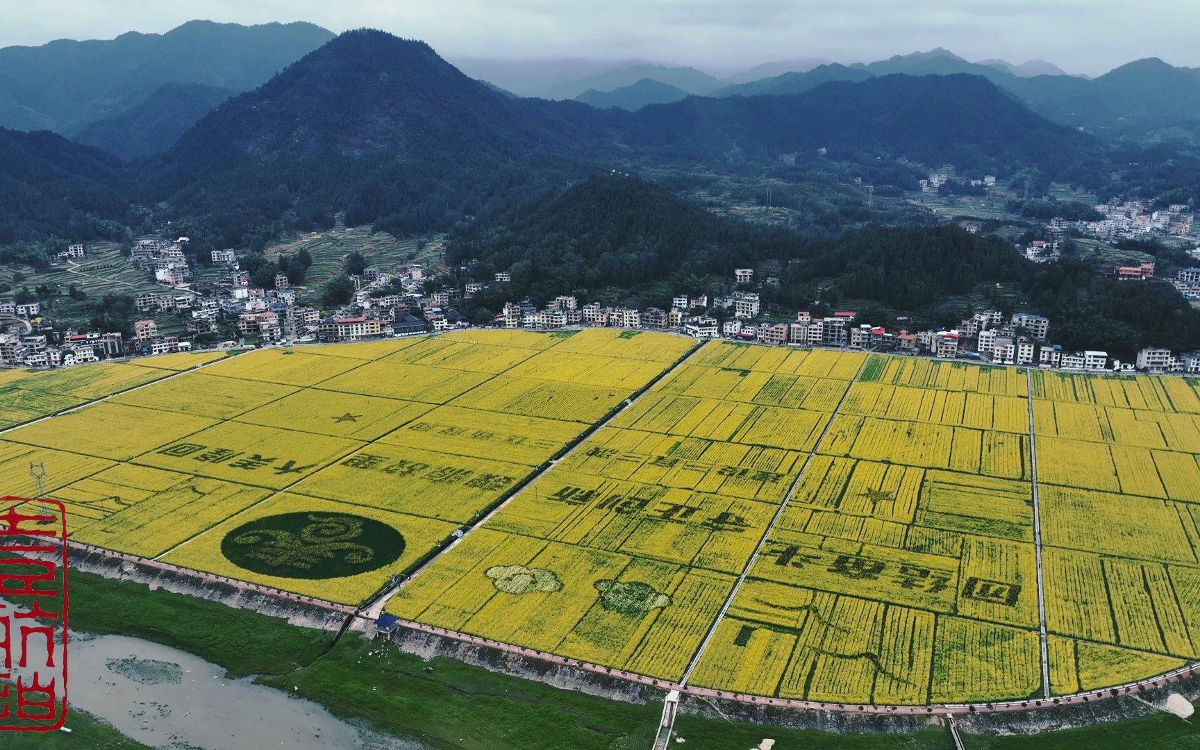 早安隆回,大美隆回,隆回县司门前镇石山湾村油菜花海是我见过最好看的