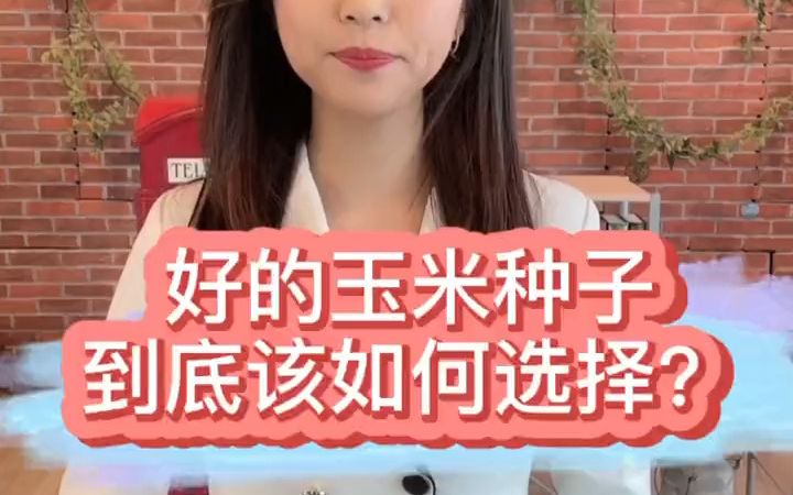 【新农村】农业好的玉米种子到底该如何选择?哔哩哔哩bilibili