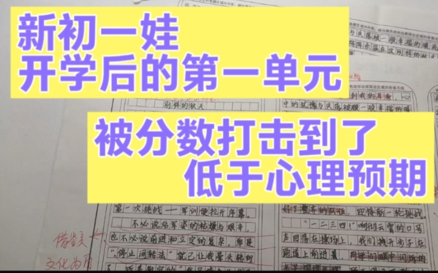 新初一娃,第一单元作文,被分数打击到了,低于心理预期,怎么改?哔哩哔哩bilibili