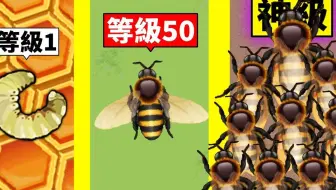挑战！打造「最强蜜蜂帝国」！从幼虫到最强蜜蜂的成长过程！