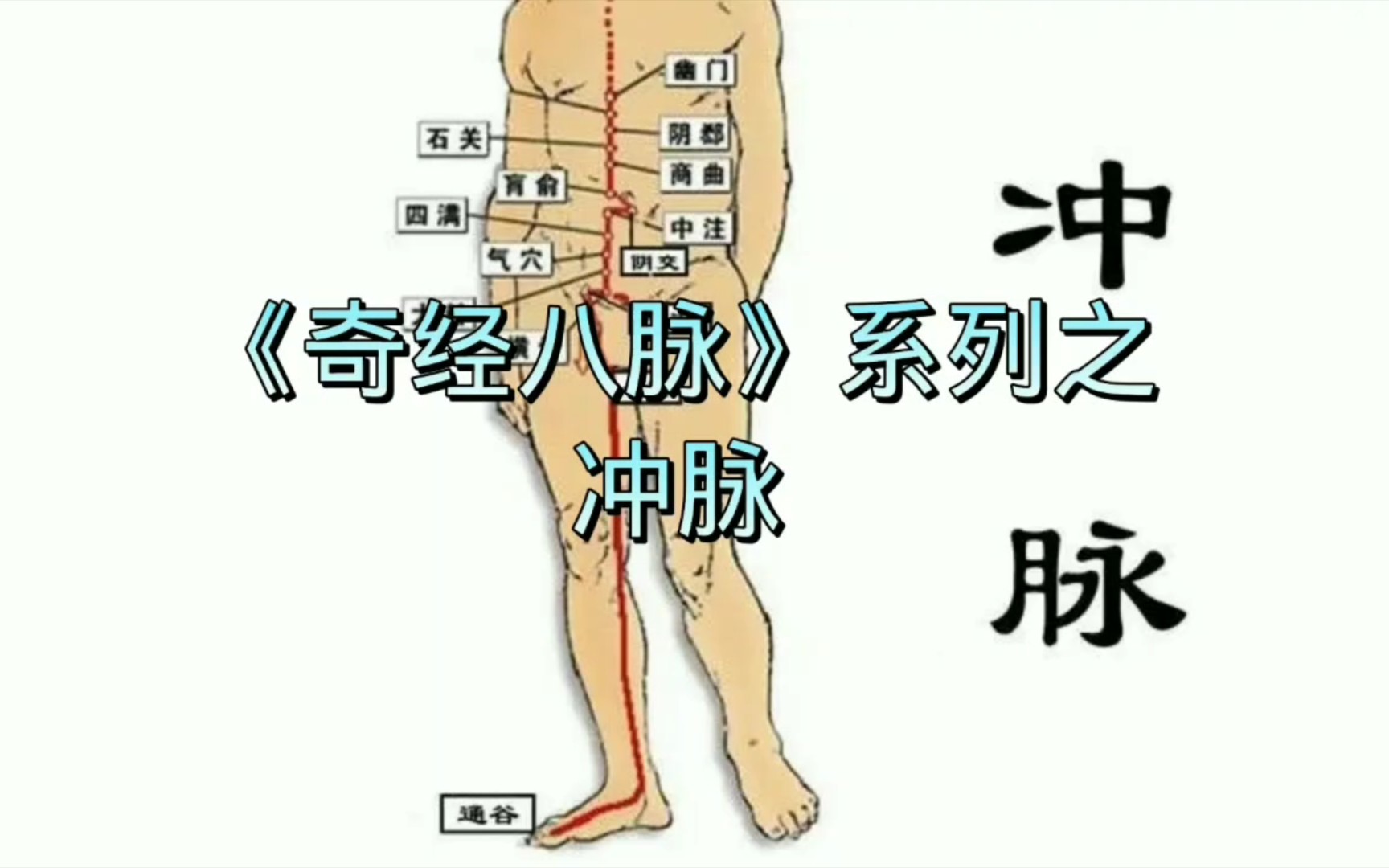 经络科普 《奇经八脉》系列之《冲脉》