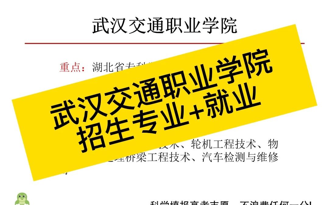 武汉交通职业学院怎么样?武汉交通职业学院招生专业+就业介绍哔哩哔哩bilibili