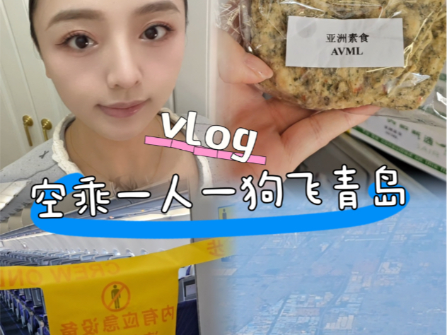 空姐vlog|人在飞青岛 心飘到周兴哲演唱会去啦哔哩哔哩bilibili