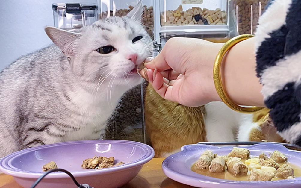 [图]今天的猫咪配粮好下饭！