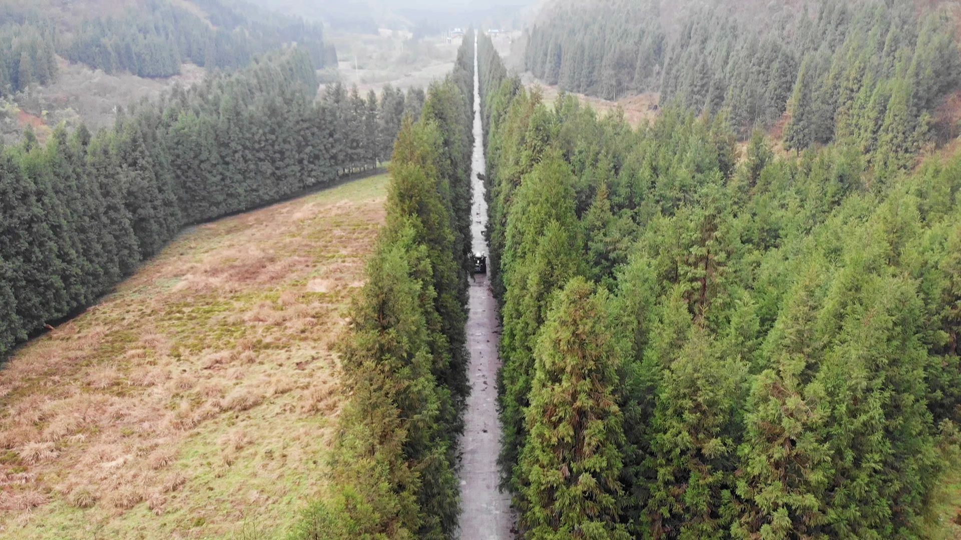 重庆武隆梦幻谷,林荫小路一线天,空气宜人,风景秀丽