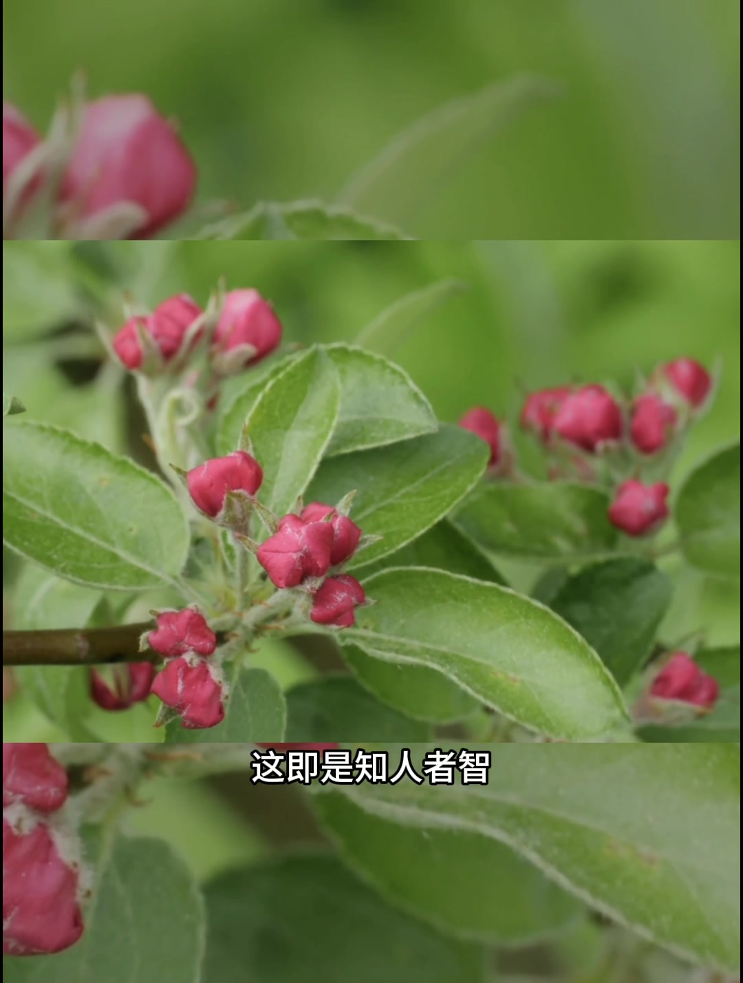 天狂必有雨,人狂必有祸.哔哩哔哩bilibili