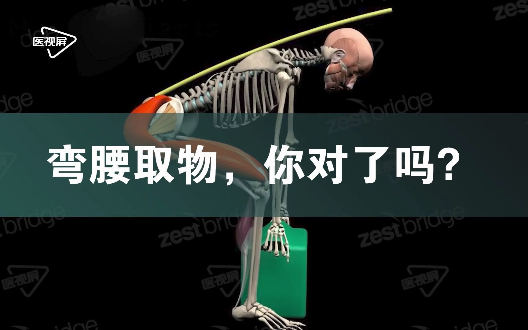 [图]【医学3D】：护腰小秘密，如何搬重物不伤腰？