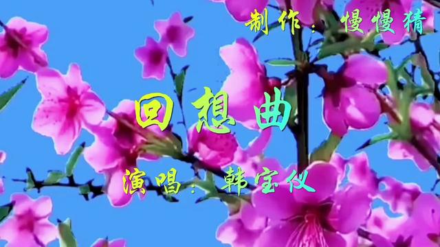 韩宝仪经典老歌《回想曲》柔情似水,欢快甜美,透出淡淡的忧伤!哔哩哔哩bilibili