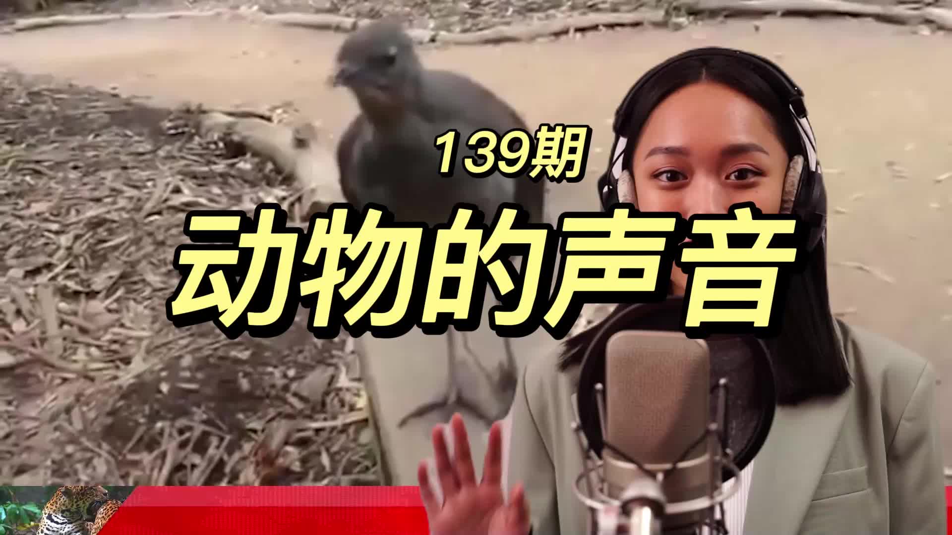 神奇动物的声音保证颠覆你的世界观