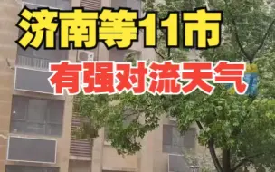 Download Video: 山东发布雷电黄色预警 济南等11市将有强对流天气